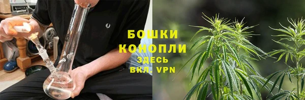 меф Кострома